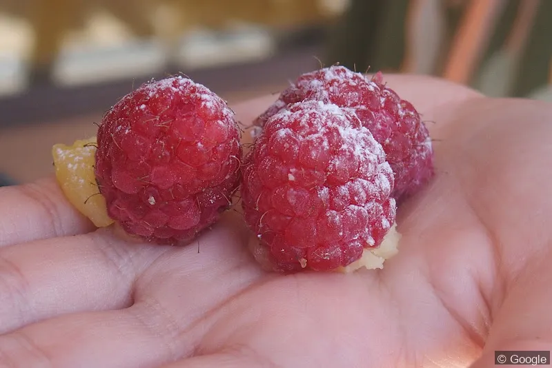 Photo 2 de Boulangerie Magaud, boulangerie à Toulon