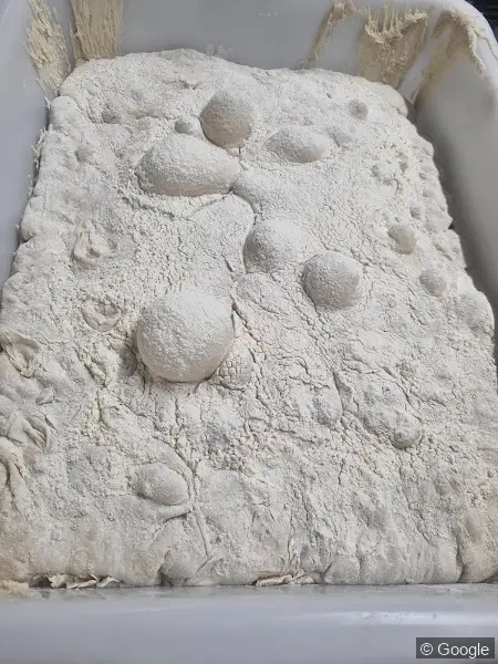 Photo 2 de Fournil & Maie Dunkerque, boulangerie à Dunkerque