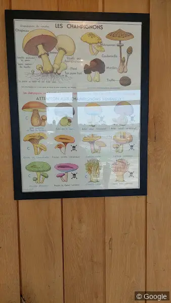 Photo 2 de PAUL Brest Moulin Blanc, boulangerie à Brest